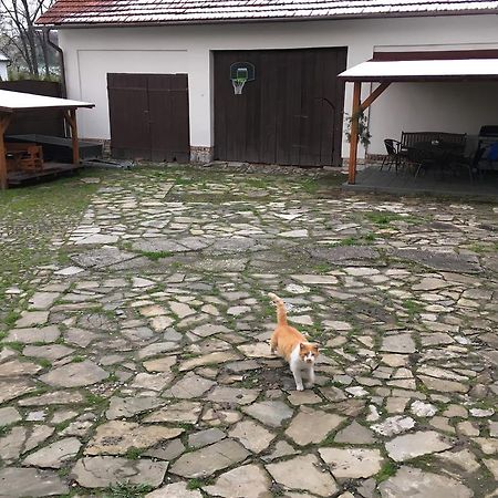 Ubytovani V Soukromi U Volneho Příbor Kültér fotó